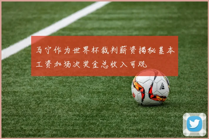 马宁作为世界杯裁判薪资揭秘基本工资加场次奖金总收入可观