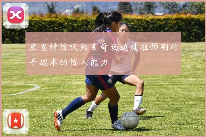 皮克特惊叹约基奇场边精准预测对手战术的惊人能力
