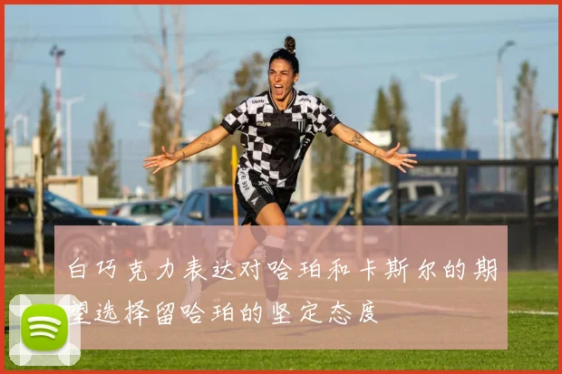 白巧克力表达对哈珀和卡斯尔的期望选择留哈珀的坚定态度