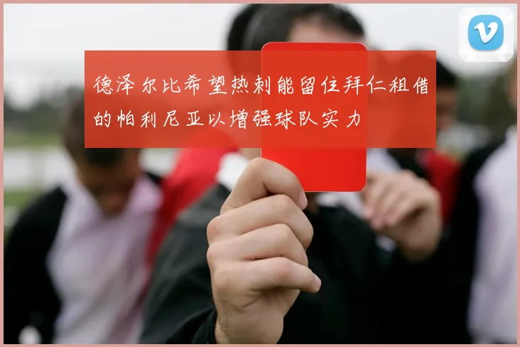 德泽尔比希望热刺能留住拜仁租借的帕利尼亚以增强球队实力