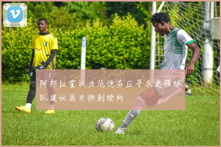 阿邦拉霍认为范德芬应寻求更强球队建议离开热刺续约