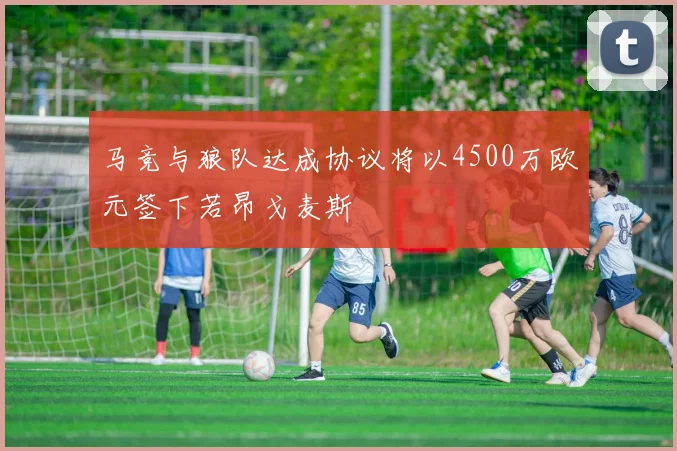 马竞与狼队达成协议将以4500万欧元签下若昂戈麦斯
